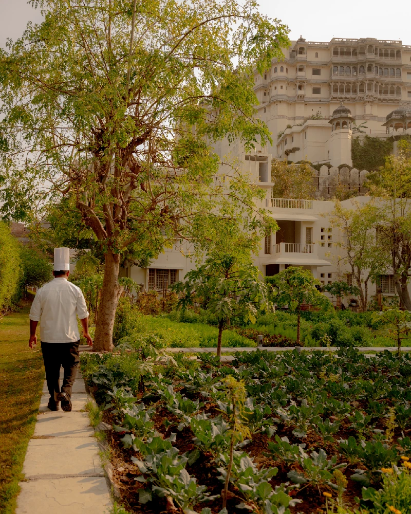 Udaipur3